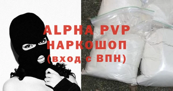 прущие грибы Медногорск