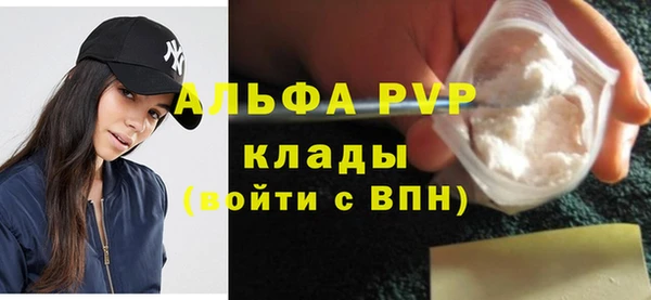 прущие грибы Медногорск