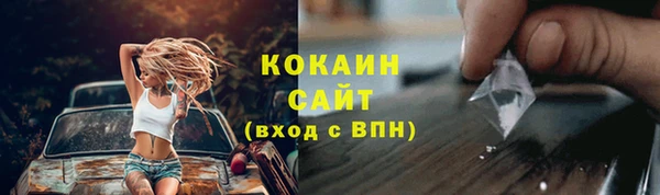 стафф Саки