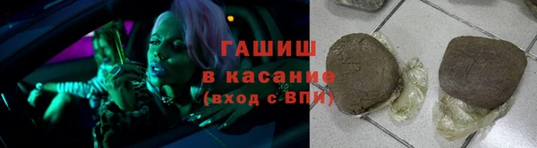прущие грибы Медногорск