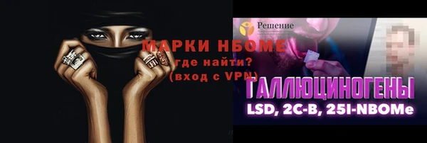 прущие грибы Медногорск