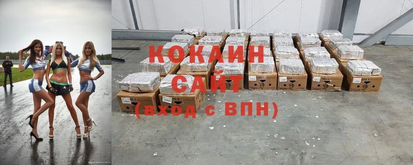 твердый Ряжск