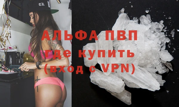 прущие грибы Медногорск