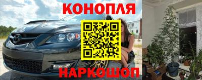 прущие грибы Абинск