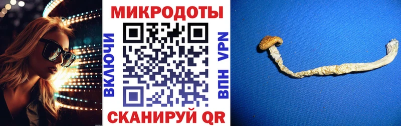blacksprut рабочий сайт  закладка  Тейково  дарк нет как зайти  Псилоцибиновые грибы мухоморы 